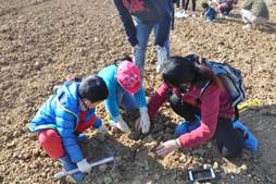 说明: DSC_0406.JPG