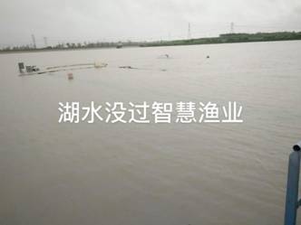微信图片_20200720185254.jpg
