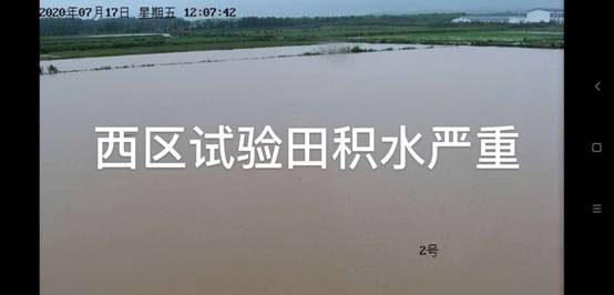 微信图片_20200720185248.jpg