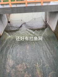 微信图片_20200720185303.jpg